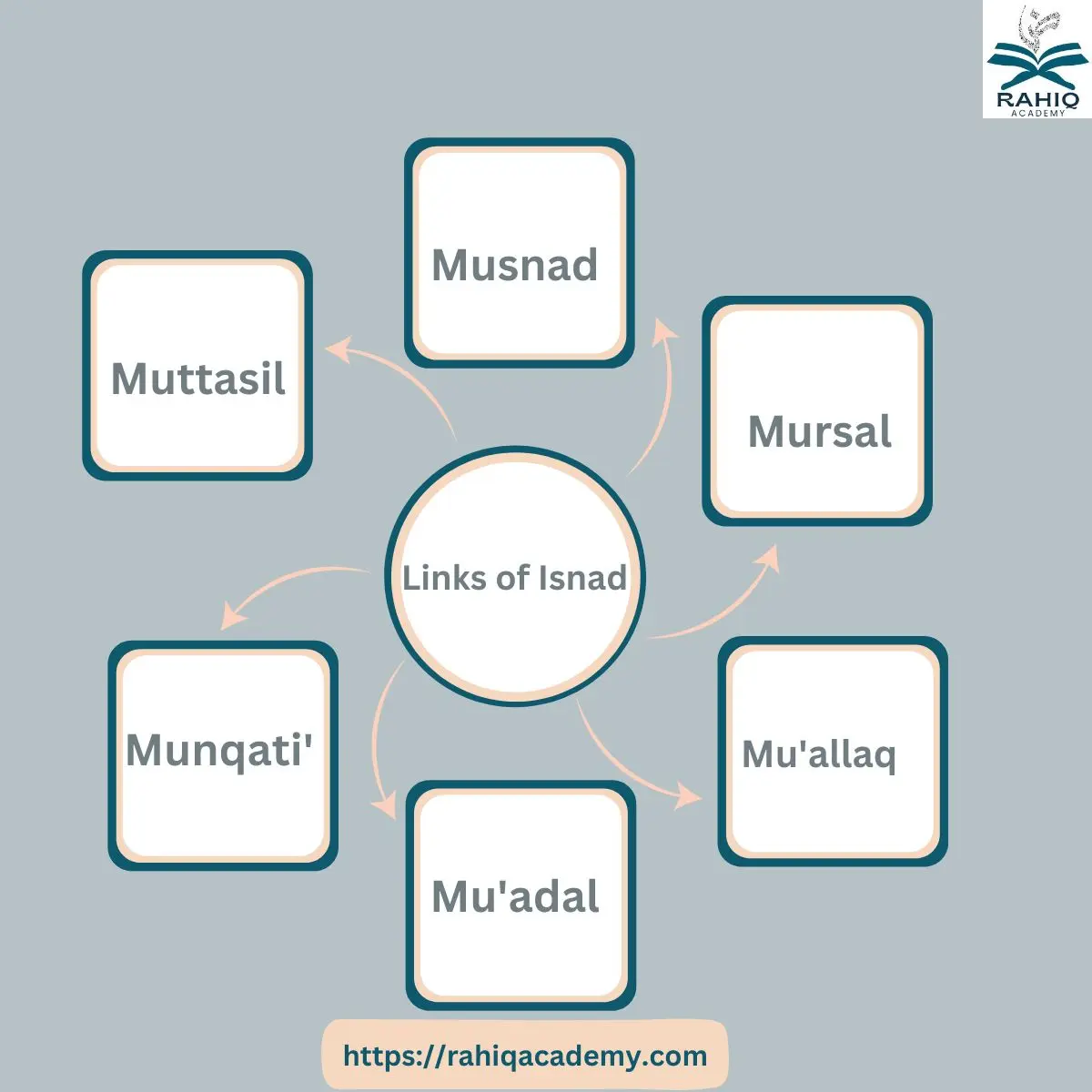 Importance of Hadith