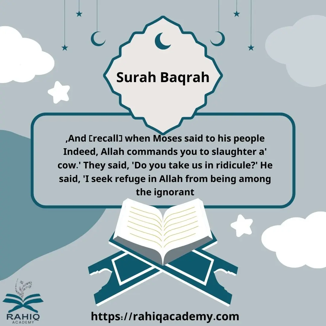 What does the cow mean in Surah Baqarah?